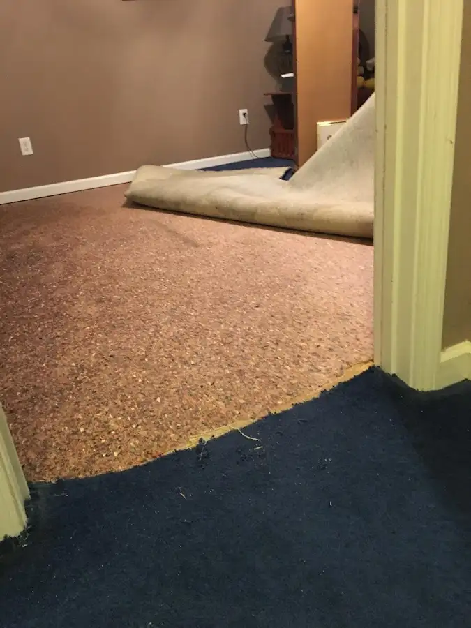 Carpet pad removal revealing water damage during Drying & Dehumidification in Orlando